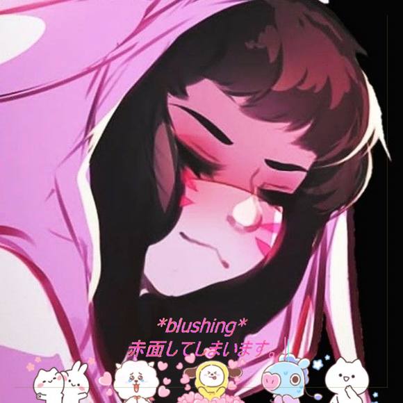 Meet your Posher, Dakota - Picture 1 of 1